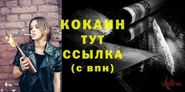 гидра Долгопрудный